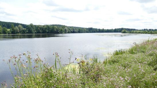 Wertach Wanderweg 2
