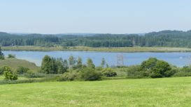 Mooserlebnis Elbsee
