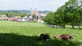 Schlossparkrunde 4