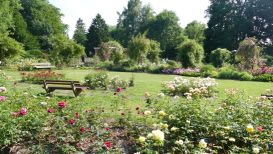 Glueckserlebnis-Route