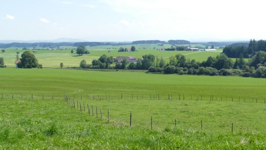 Allg Idyllegartenroute 3