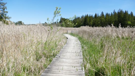 Allg Idyllegartenroute 4