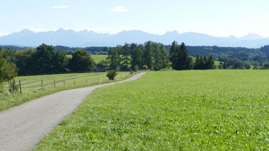 Wandertriologie Allgäu Wiesengänger